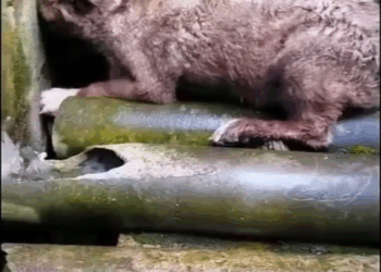 M1108024 Perdio su madre ahora no confia en nadie part2