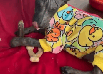 M1108027 How it started vs how it going ThisIsHouston part2