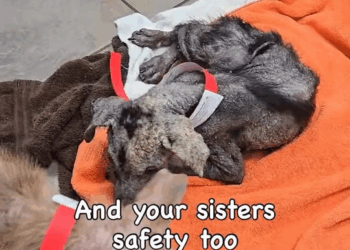 M1108028 Even the darkest night will end and the sun will rise