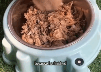 M1108031 Abandoned and Alone Until Our Eyes Met part2