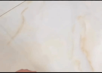 M1108032 Amanti on Reels part2