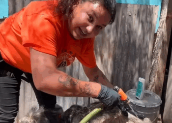 M1108036 perdon natasha Rescatando Patitas SLRC part2