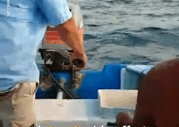 M1608002 These fishermen couldn believe their eyes when puppy drifted by part2