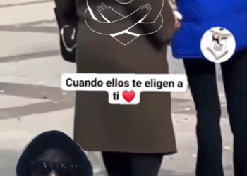 M1608023 Una adopción inesperada adopta love animalitos nature adoptcion perros Pura risa part2