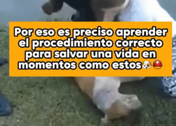 M1608024 No esperes que algo ocurra escribe primeros auxilios para estar preparado para cualquier situación que ponga en riesgo tu compañ part2