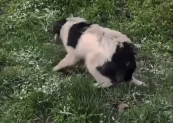 M1608025 Video by biacello part2