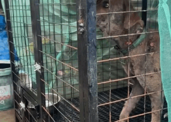 M1608028 LABAN FIGHTER MARAMING NAGMAMAHAL AT NAGDADASAL PARA SA PAG GALING MO Raevin Bonifacio Blogs part2