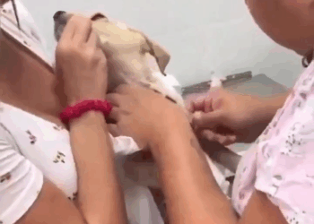 M1608034 Video by edgarmolinas part2