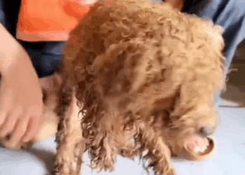 M1608036 reactions part2