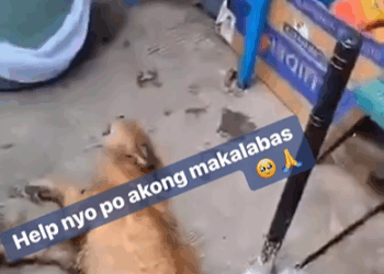 M1408039_Leah Borbon on Reels_part2