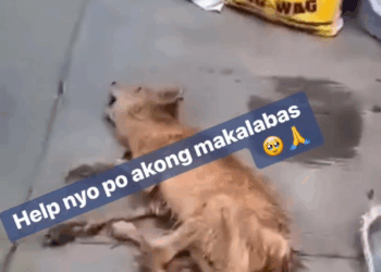 MAI1408039_Leah Borbon on Reels_part2