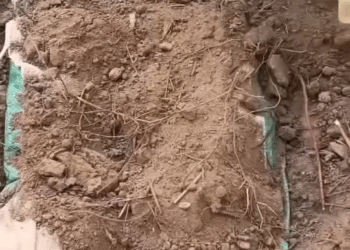 M2008018 This Story will break your heart part2