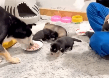 M2008019 This Story will break your heart (1) part2