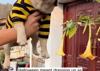 M2008030 This man rescued