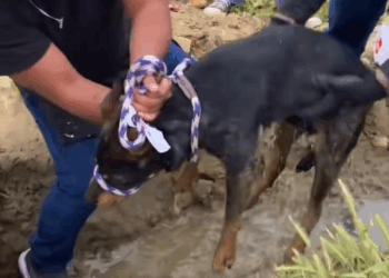 M2907054 Update coming soon