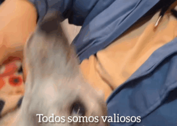 M2308001 Todo valió la vida CIELO adoptanocompres perros amor part2