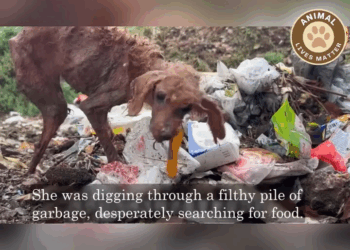 M2308006 Starved by the World Saved by Stranger Her Eyes Still Tell the Story part2