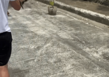 M2308008 To everyone asking what happened to Max sorry if can answer each of you one by one