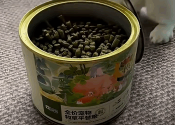 M2308015 s bunny in the mud lovestory wildliferescue animals rescue cute bunny rabbit wildlife Petlife part2