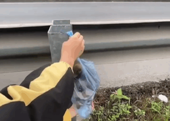 M2008026_This story will break your heart rescueanimals rescuedogs dog reelsvideoシ rescuedog puppies puppy rescue rescuedogsofins_part2