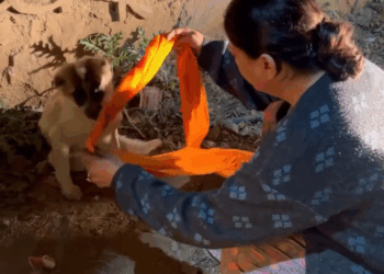 M2308021 s Ferocious Angry NO you are wrong It can be fear or pain that the only way they can express Don give up we are humans we part2