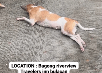 M2308027 Baka my rescuer po na malapit jan sa location urgent po yan paps PAPS JinoK part2