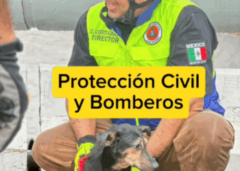 M2308028 Creía que todo estaba perdido perros amorincondicional La Ranita de Nogales part2