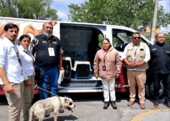 M2308030 Ayer hoy perros amorincondicional La Ranita de Nogales part2