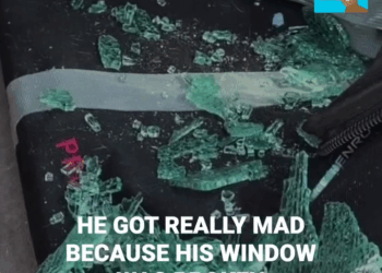 M2308033 Dog is found locked inside hot car part2