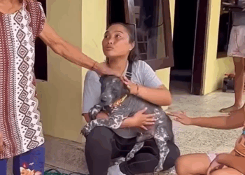 M2308039 To be loved is to be changed Puppy Rescue part2