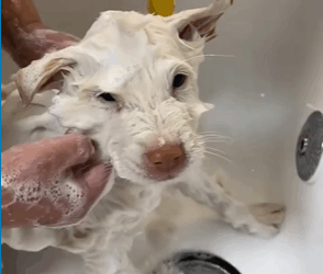 M2808001 Unleashed Heroes on Reels part2