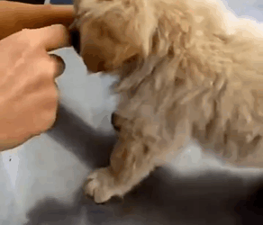 M2808001_Unleashed Heroes on Reels_part2