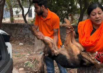 M2808009 am so sorry God Abandoned with paralysis challi shareer distemper high fever