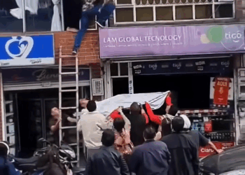 M2808021 Virales Un perro quedó atrapado entre los cables de luz de una vivie