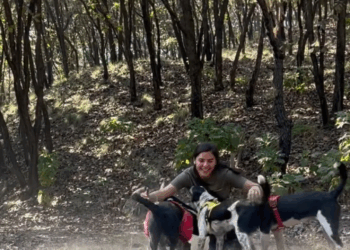 M2808023 Hoy se cumple un año de que el rescate de los cachorros me cambió la vida part2