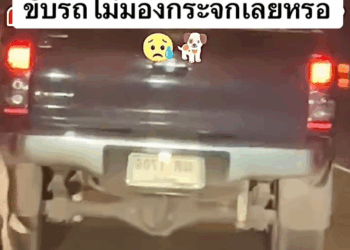 M2808024 Oat Vichai Amulet part2