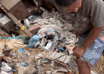 M2808029 Do it, I’ll tell you this on the phone. It’s hot, it’s not Md Abdul Kaium part2