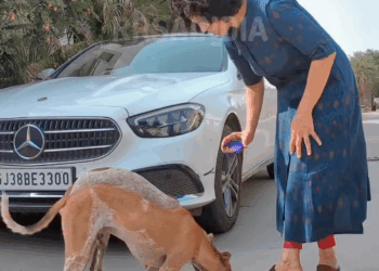 M2808033 Though there lot of bad news around here moment that might bring smile to your face Bhavesh Solanki part2