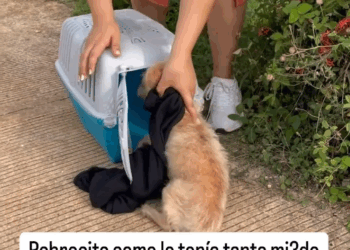 M2907028 Poco poco logré ganarme su confianza Jose Delgado part2 Copy