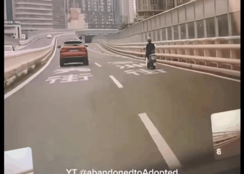 M0208006 Rescuing Abandoned Puppy Dog from Heavy Trafic puppyresue dogrescue