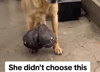 M0208008 TikTok video part1