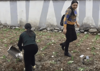 M0208014 pet xuhuong fyp trending dog dogsoftiktok petsoftiktok part2