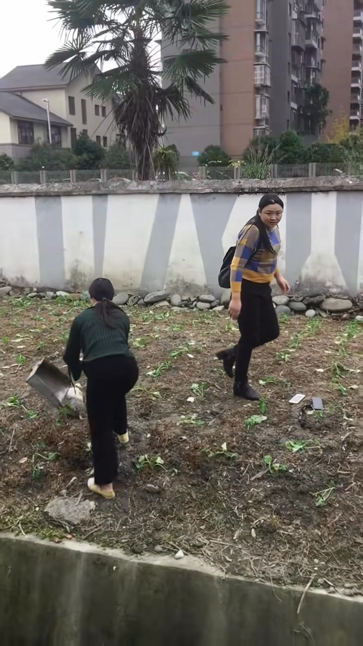 M0208015 Poor dog pet xuhuong fyp trending dog dogsoftiktok petsoftiktok part2