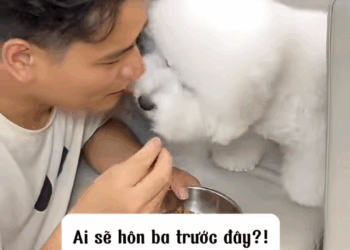 M0208017 The Story of the Tied Puppy