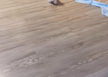 M0208035 Evironmental cleanup girl rescues and adopts dog thrown away in the