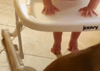 M0208044_Rescue baby dog thrown in bag rescue animals animalsoftiktok re…_part2