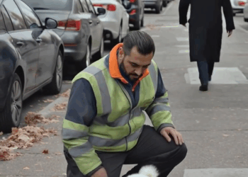 M0208052_Left on the street. Seen by one. The man unclipped the leash whispered something under his breath and walked away. No goodbye. No se_part1