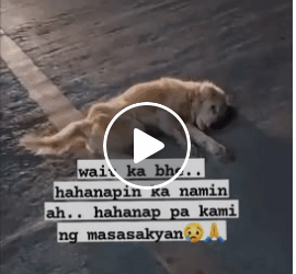 M1008002 Anyone from Devisoria near mercury drug cagayan de oro city