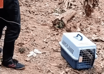 M1009019 This Story will break your heart part2