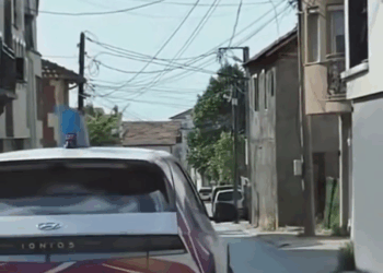 M1009034 Si vez un perrito que necesita ayuda ayúdalo